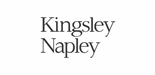 Kingsley Napley LLP logo
